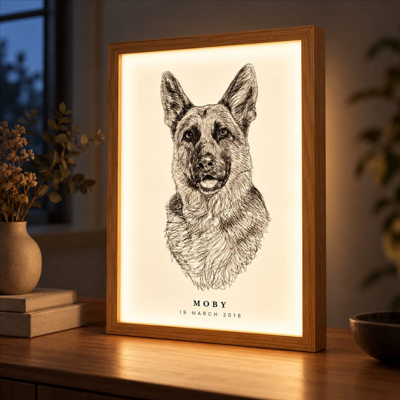 Lichtgevende lijst