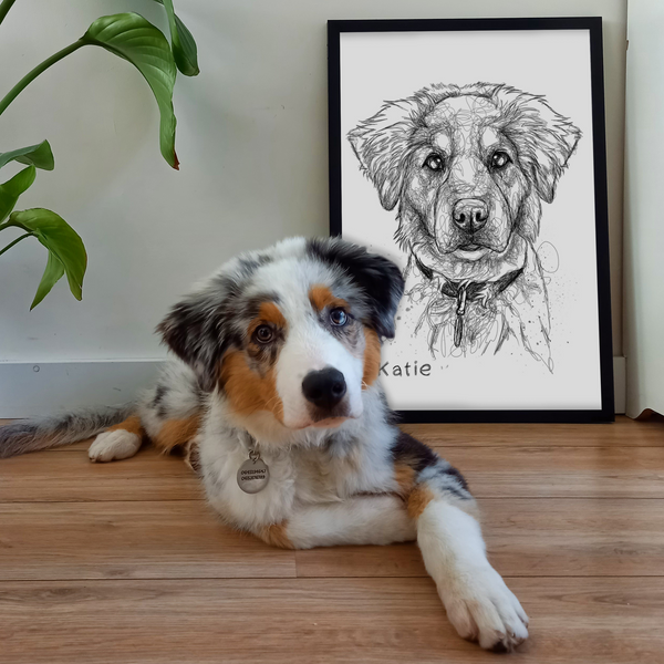 PetsPortrait Scribble Huisdieren Portret