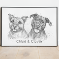 PetsPortrait Scribble Huisdieren Portret
