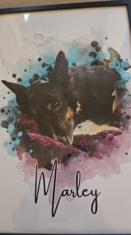 Foto van Kelly L. met hun Waterverf, digitaal bestand-portret