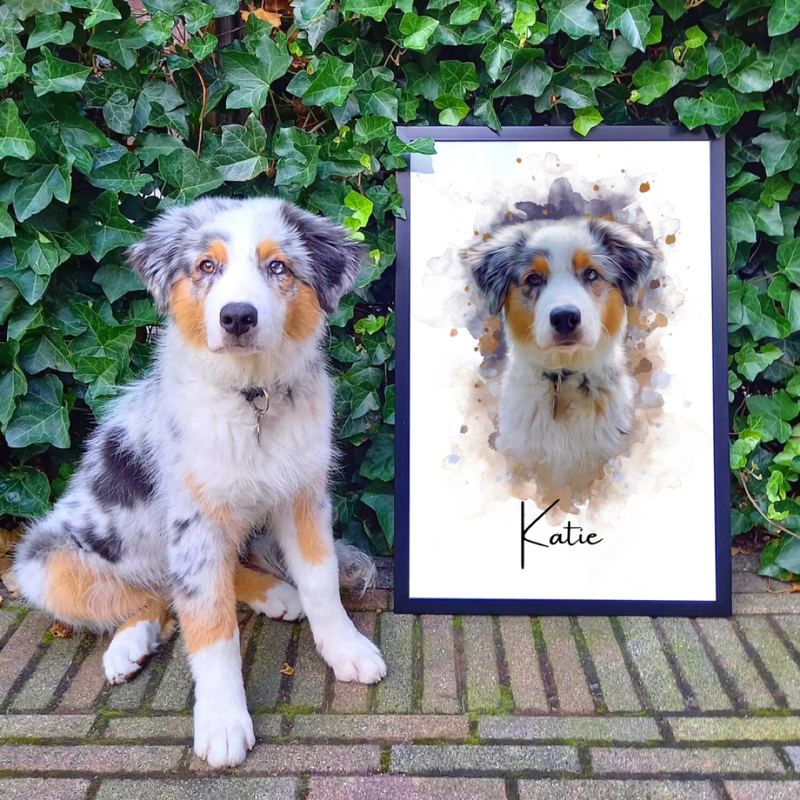 Australische herderpup Katie zit buiten naast haar portret